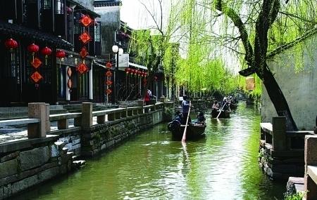 逃离蜥蜴森林